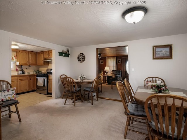 4728 Cain Ridge Rd, Leon, WV 25123 - dining room featuring light colored carpet and a textured ceiling