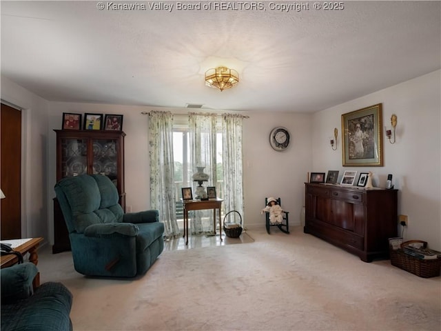 4728 Cain Ridge Rd, Leon, WV 25123 - living area featuring carpet flooring and baseboards