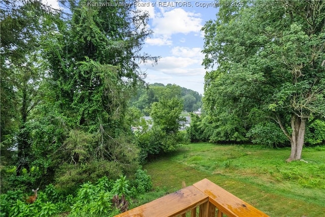 2526 Spring St, South Charleston, WV 25303 - view of green lawn