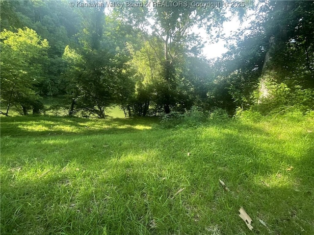 2657 River Haven Rd, Clendenin, WV 25071 - photo 1