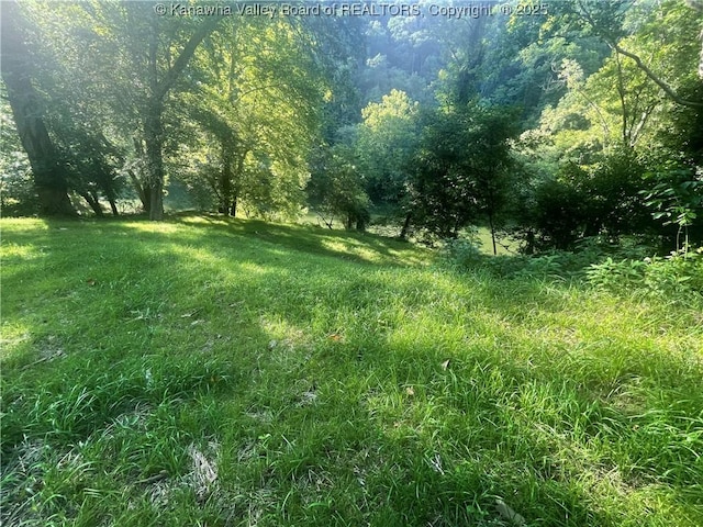 2657 River Haven Rd, Clendenin, WV 25071 - photo 2