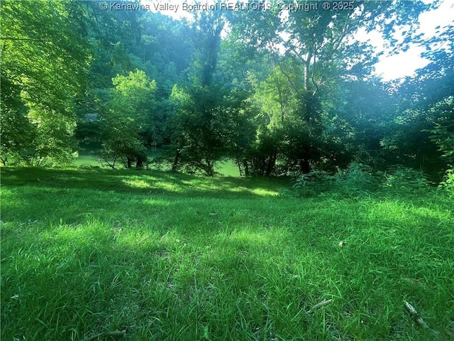 2657 River Haven Rd, Clendenin, WV 25071 - photo 3