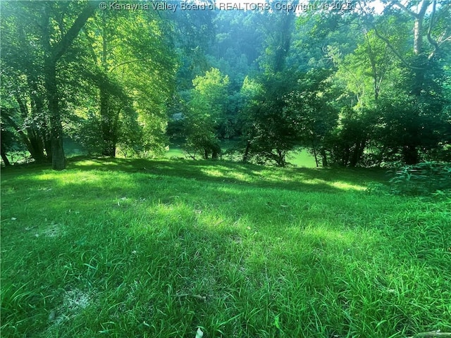 2657 River Haven Rd, Clendenin, WV 25071 - photo 4