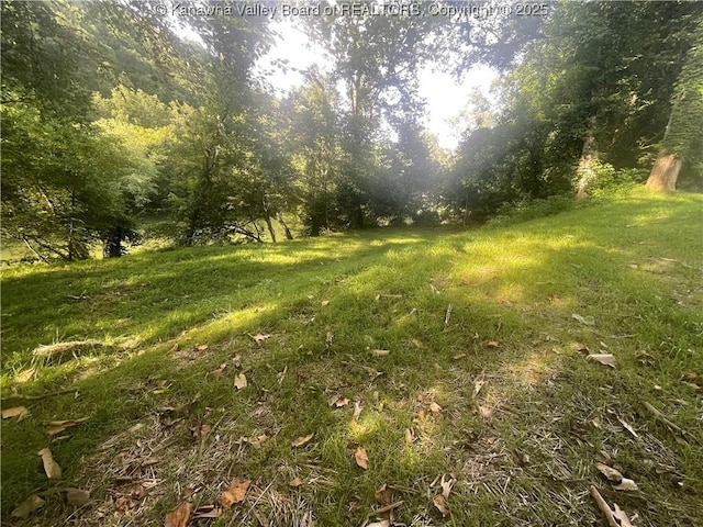 2657 River Haven Rd, Clendenin, WV 25071 - photo 5