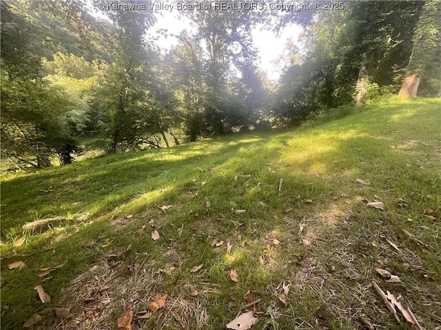 2657 River Haven Rd, Clendenin, WV 25071 - photo 6