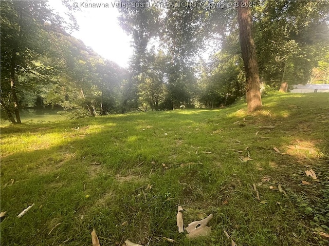 2657 River Haven Rd, Clendenin, WV 25071 - photo 7
