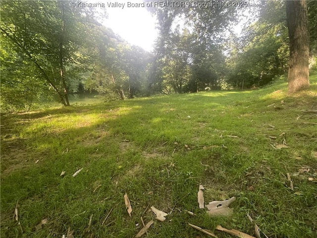 2657 River Haven Rd, Clendenin, WV 25071 - photo 8