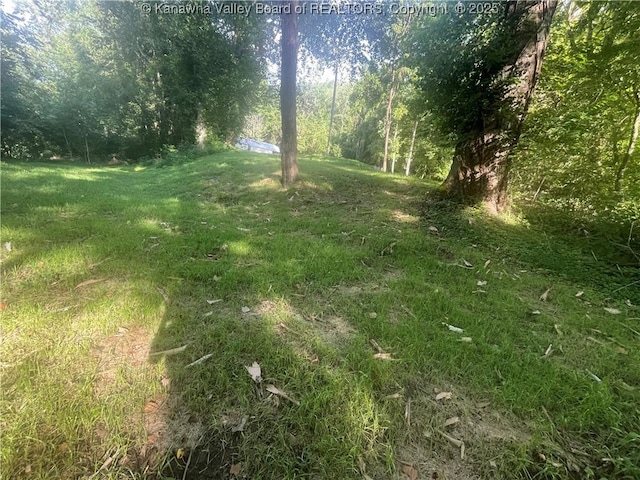 2657 River Haven Rd, Clendenin, WV 25071 - photo 9