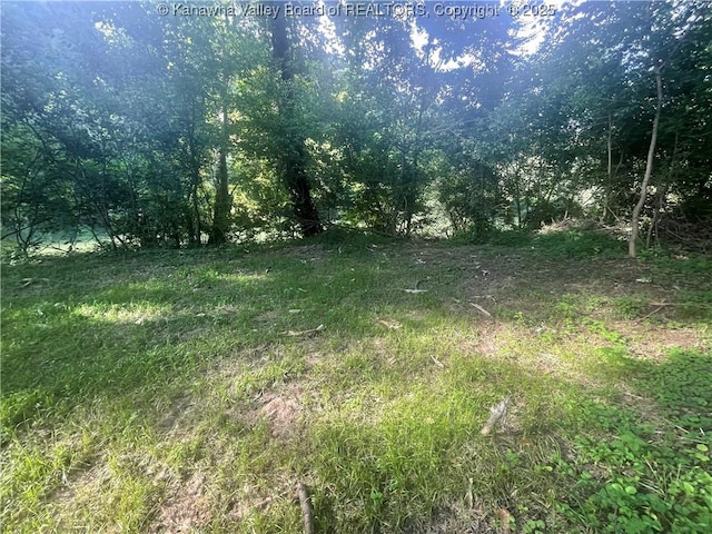 2657 River Haven Rd, Clendenin, WV 25071 - photo 11
