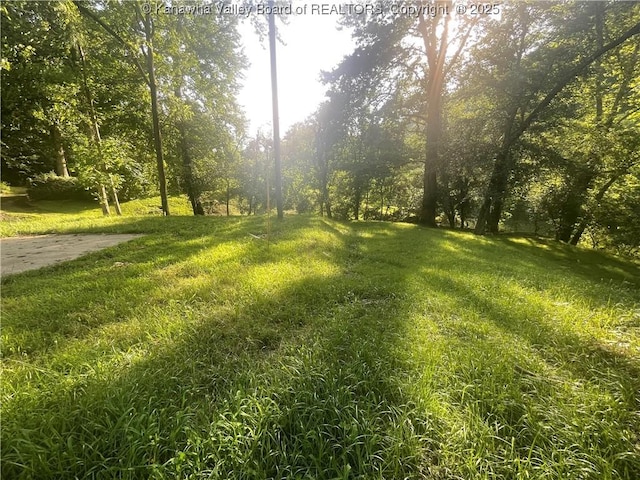 2657 River Haven Rd, Clendenin, WV 25071 - photo 13