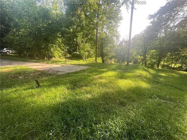 2657 River Haven Rd, Clendenin, WV 25071 - photo 15