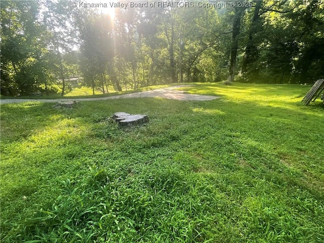 2657 River Haven Rd, Clendenin, WV 25071 - photo 16