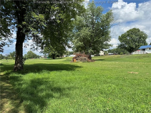 83 Barber Shop Ln, Buffalo, WV 25033 - photo 9