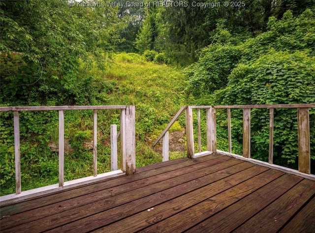 1769 Sugar Creek Dr, Charleston, WV 25387 - photo 20