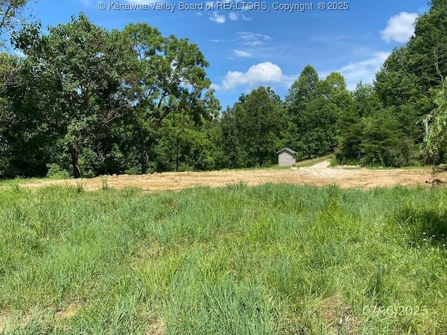 1232 Left Fork Joels Branch Rd, Genoa, WV 25517 - photo 2