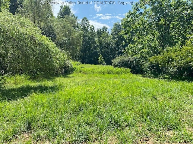 1232 Left Fork Joels Branch Rd, Genoa, WV 25517 - photo 3