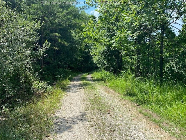 1232 Left Fork Joels Branch Rd, Genoa, WV 25517 - photo 4