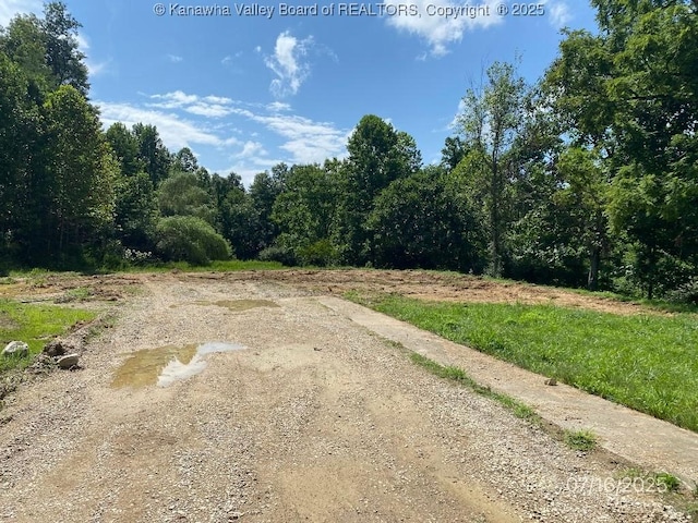 1232 Left Fork Joels Branch Rd, Genoa, WV 25517 - photo 5