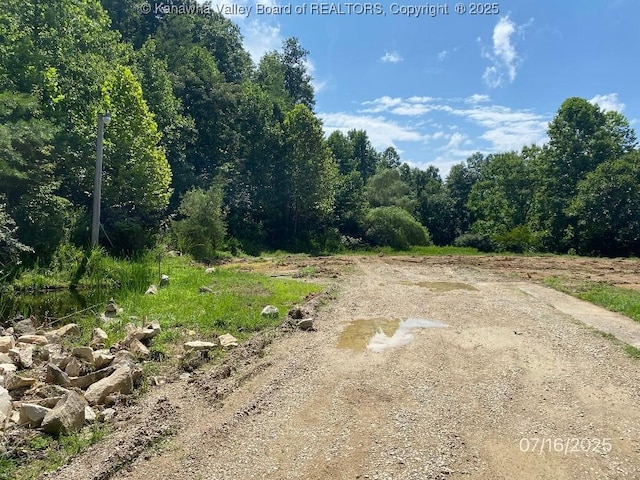 1232 Left Fork Joels Branch Rd, Genoa, WV 25517 - photo 6