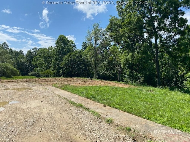 1232 Left Fork Joels Branch Rd, Genoa, WV 25517 - photo 7