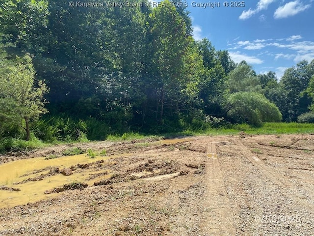 1232 Left Fork Joels Branch Rd, Genoa, WV 25517 - photo 8