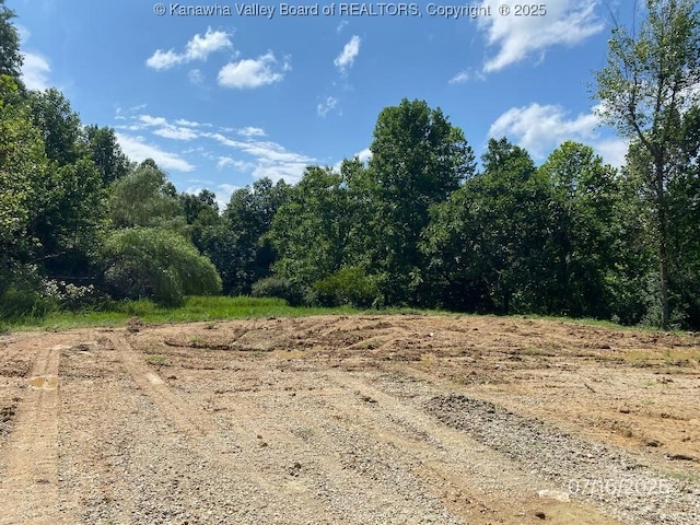 1232 Left Fork Joels Branch Rd, Genoa, WV 25517 - photo 9