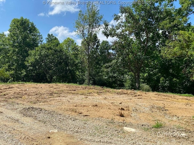 1232 Left Fork Joels Branch Rd, Genoa, WV 25517 - photo 10