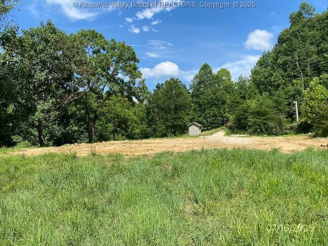 1232 Left Fork Joels Branch Rd, Genoa, WV 25517 - photo 16