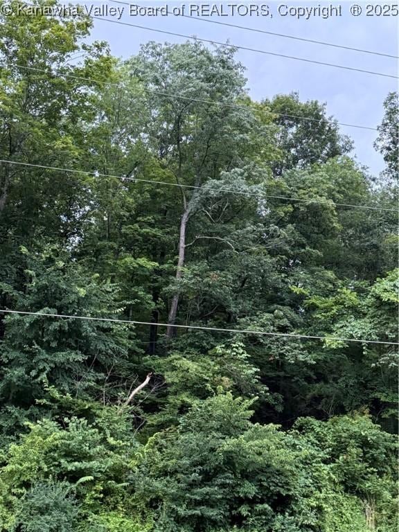 0 Round Bottom Rd, Peytona, WV 25154 - photo 1