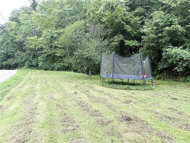 2805 Camp Creek Rd, Julian, WV 25529 - photo 6
