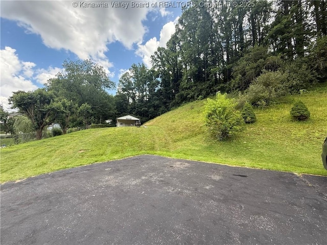 8091 Old Logan Rd, Chapmanville, WV 25601 - photo 31