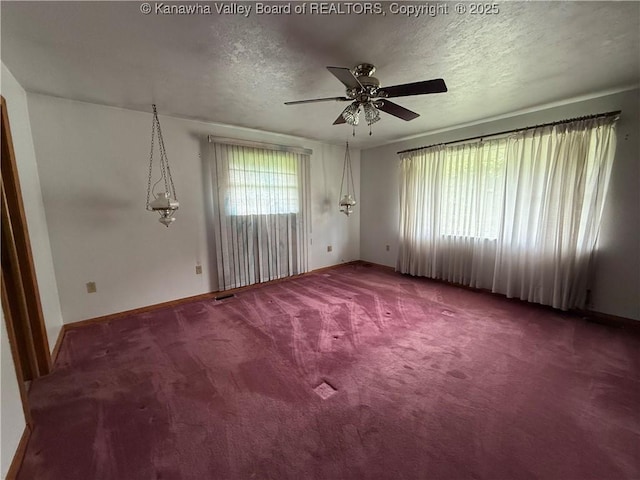 8091 Old Logan Rd, Chapmanville, WV 25601 - photo 15