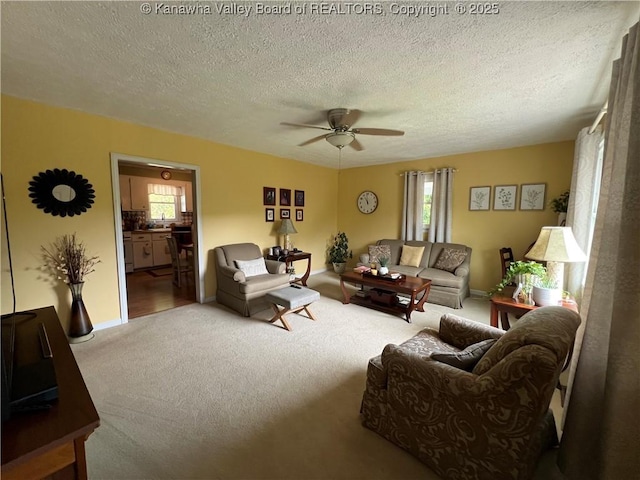 275 Wilding Rd, Ravenswood, WV 26164 - photo 10