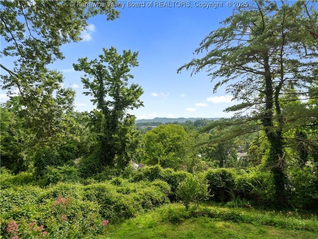 9 Observatory Rd, Charleston, WV 25314 - photo 41