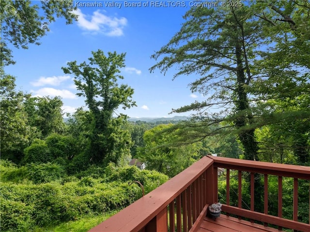 9 Observatory Rd, Charleston, WV 25314 - photo 47
