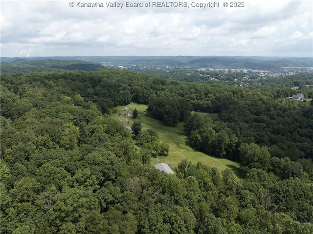 609 Rockcrest Dr, South Charleston, WV 25309 - photo 50