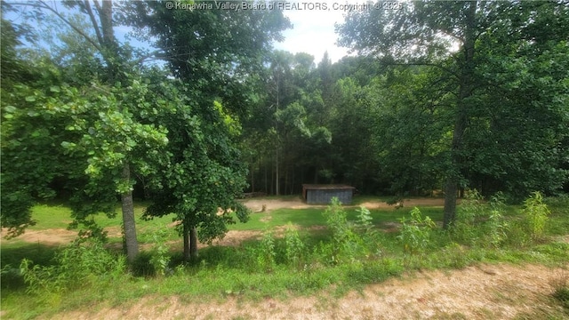 14 Leander Way, Branchland, WV 25506 - photo 45