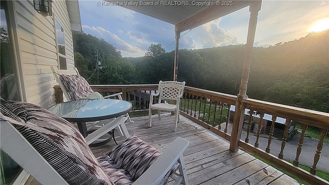 14 Leander Way, Branchland, WV 25506 - photo 35