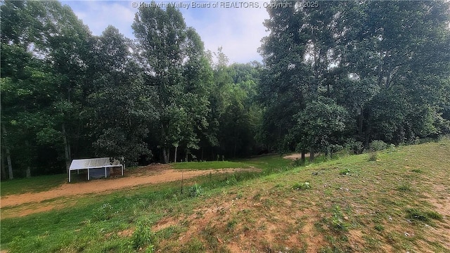 14 Leander Way, Branchland, WV 25506 - photo 49