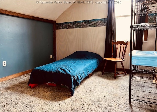 59 Vealey Ln, Kenna, WV 25248 - photo 6