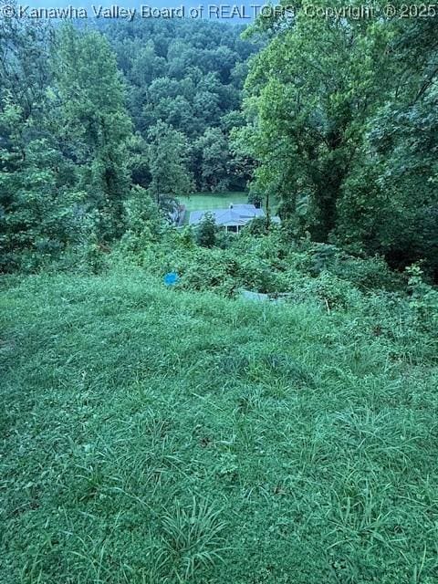 1103 Jefferson St SE, Saint Albans, WV 25177 - photo 9