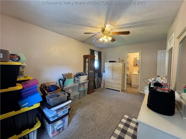 215 Ivywood St, Eleanor, WV 25070 - photo 17
