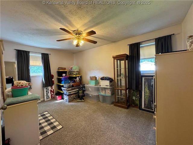 215 Ivywood St, Eleanor, WV 25070 - photo 18