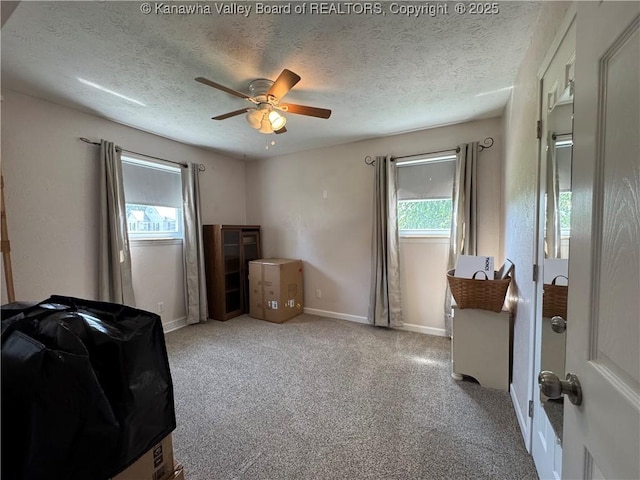 215 Ivywood St, Eleanor, WV 25070 - photo 22