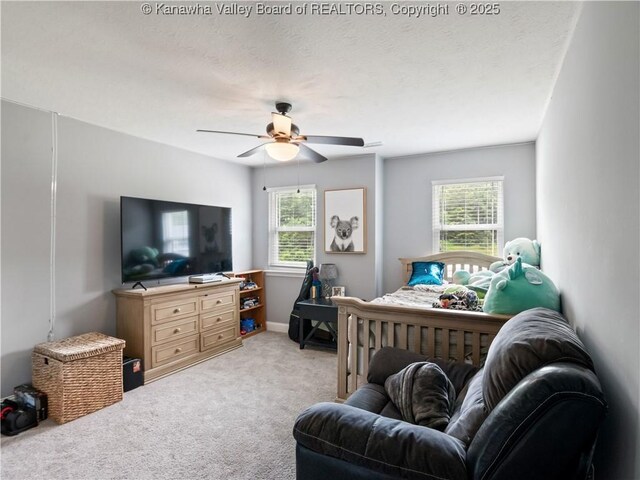 44 Russell St, Winfield, WV 25213 - photo 42