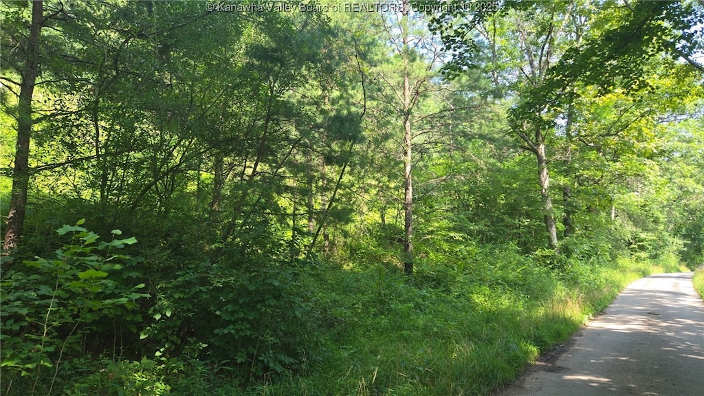 0 Walters Run Rd, Ripley, WV 25271 - photo 1