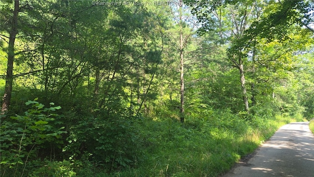 0 Walters Run Rd, Ripley, WV 25271 - photo 1