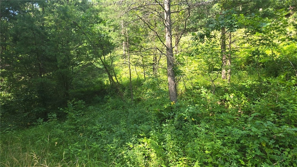 0 Walters Run Rd, Ripley, WV 25271 - photo 2