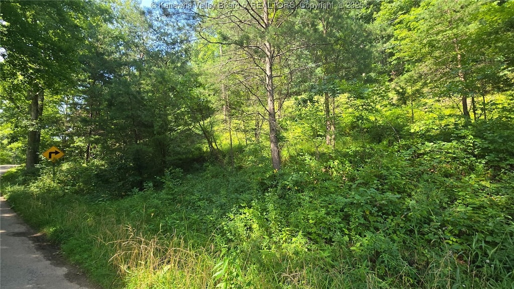 0 Walters Run Rd, Ripley, WV 25271 - photo 3