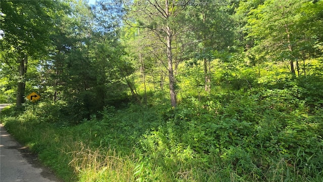 0 Walters Run Rd, Ripley, WV 25271 - photo 3